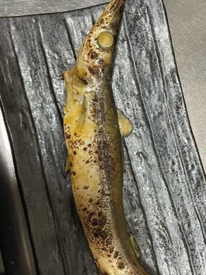 image2_2.jpeg